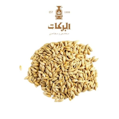 شعير بلدي