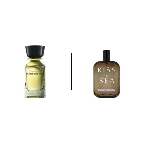 عطر صمام كيس آند سي فيكوس كاريكا -100 مل
