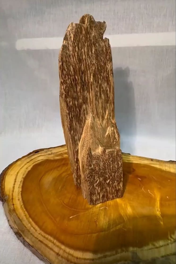 كسر عود حجم كبير