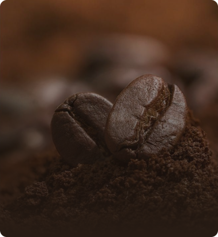 حبوب القهوة