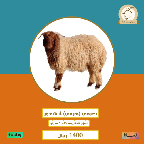 نعيمي (هرفي) 4شهور