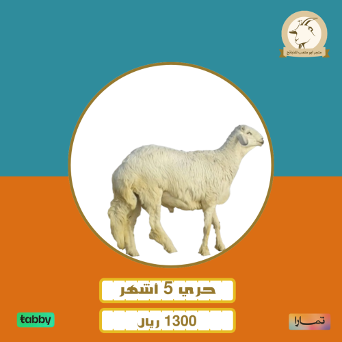 حرب 4 شهور