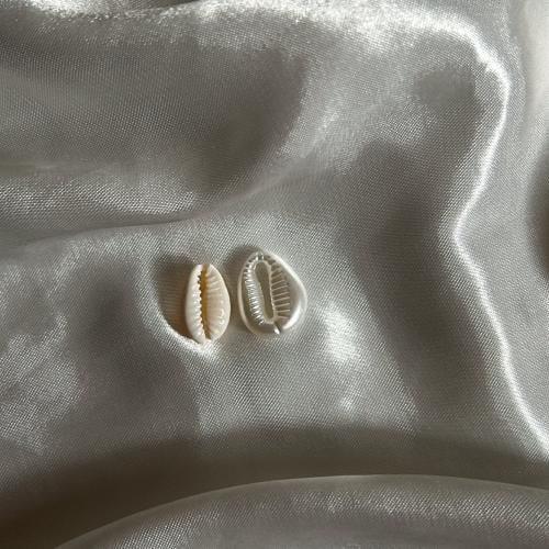 اصداف