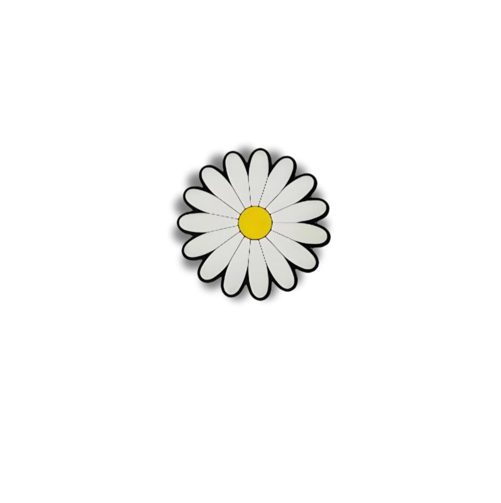 Daisy flower