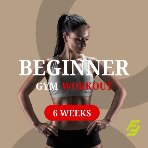 Beginner program