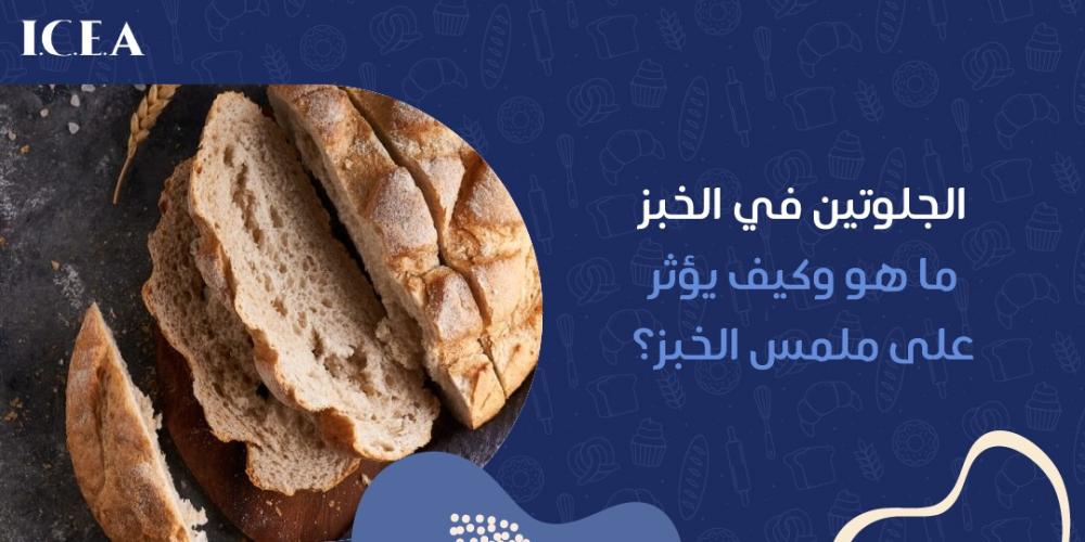 الجلوتين في الخبز الجلوتين في الخبز