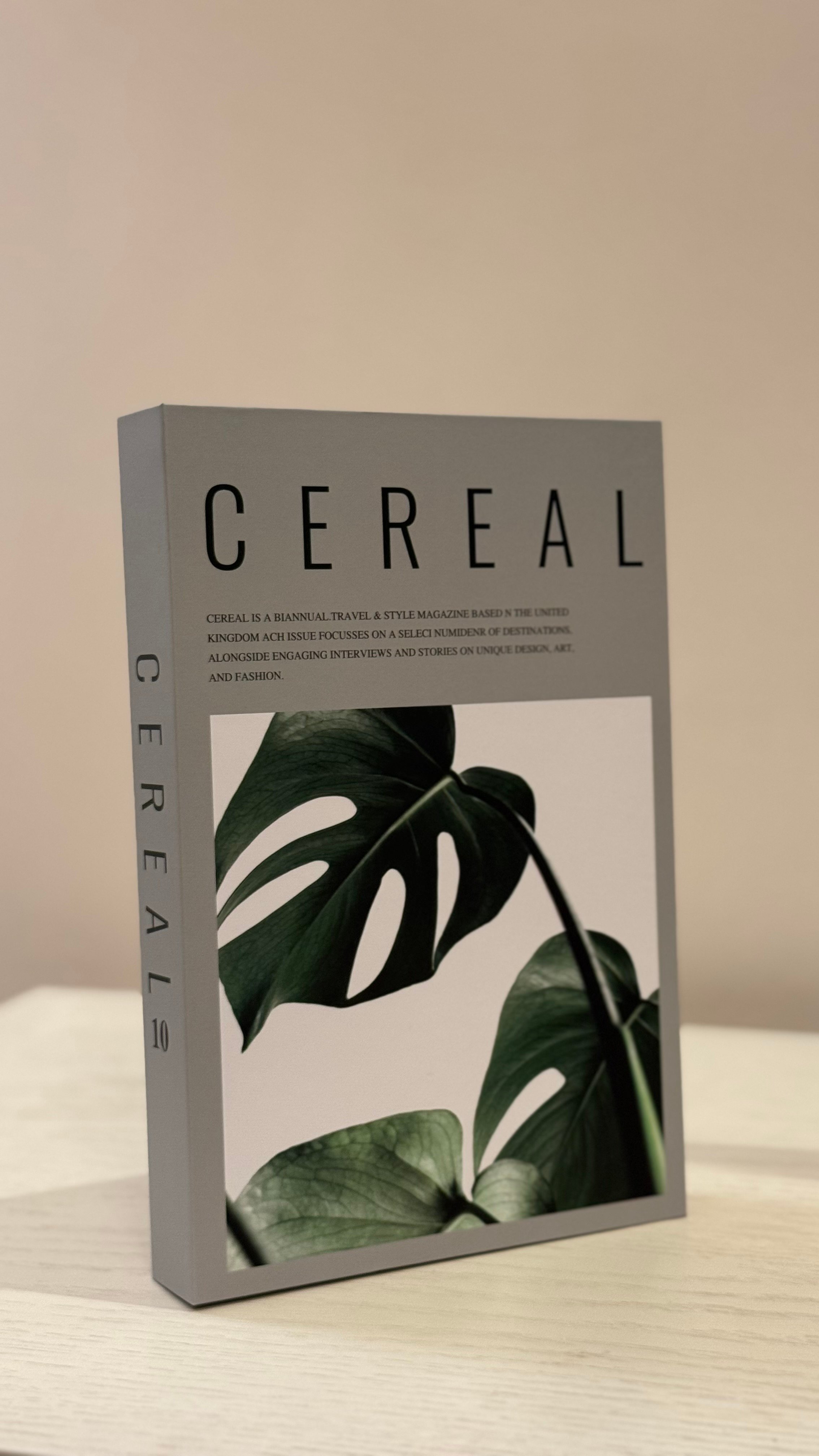 كتاب ديكور