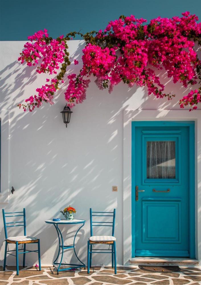 لقاء الصباح