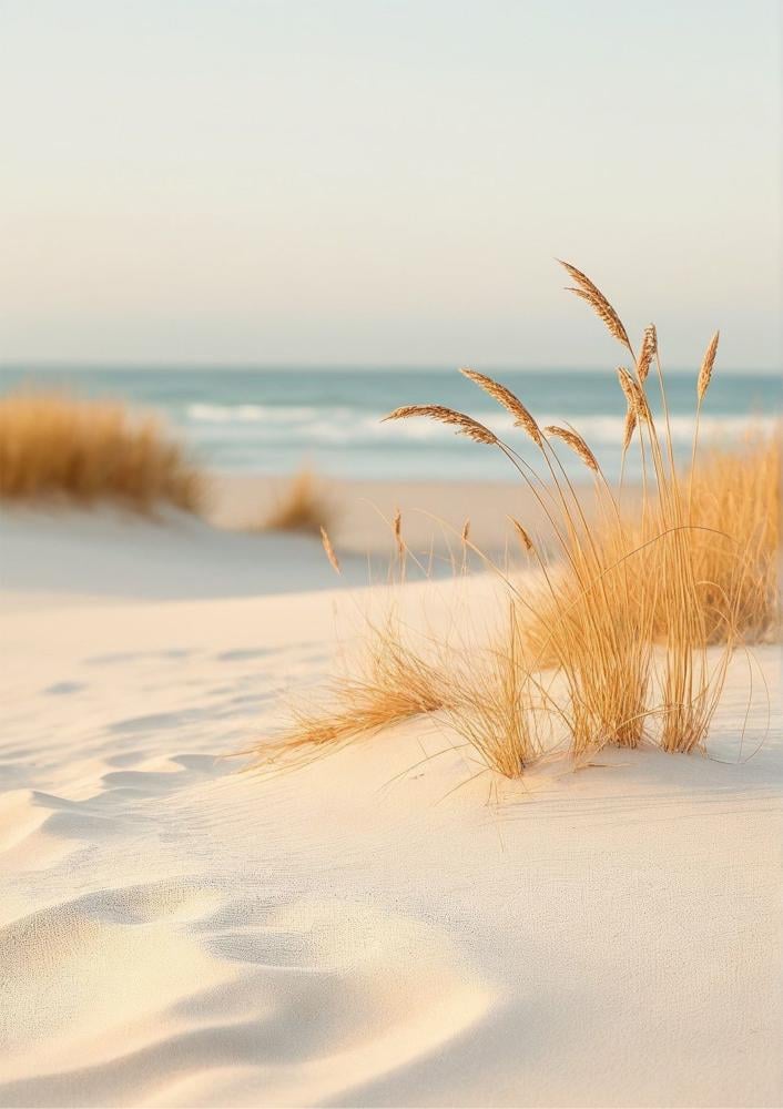 رمال الشواطئ