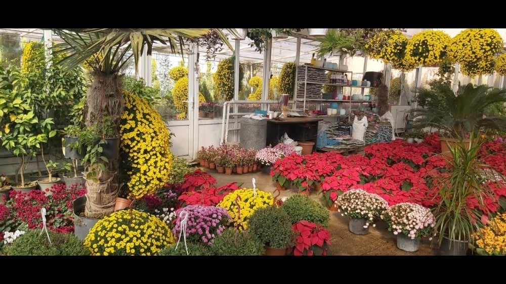 تحديات توفير المياه في المشاتل واستراتيجيات الري الفعّالة