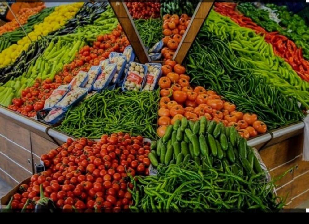 أهمية مشاتل الخضار في تعزيز الزراعة المستدامة أهمية مشاتل الخضار في تعزيز الزراعة المستدامة