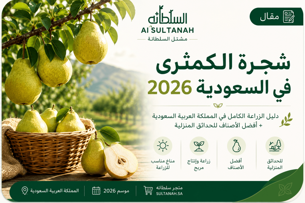 شجرة الكمثرى في السعودية 2026
