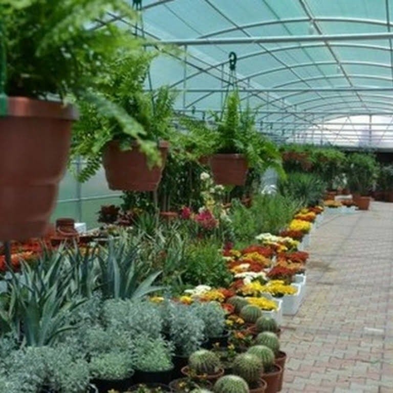 أهمية دور المشاتل في الحفاظ على التنوع النباتي والبيئة