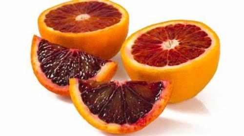 شتلات برتقال ابو دمه blood orange