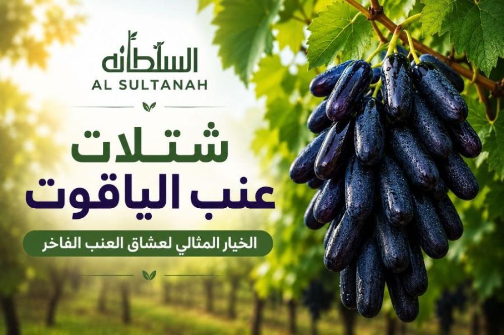 شتلات عنب الياقوت – الخيار المثالي لعشاق العنب الفاخر