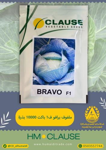 بذور ملفوف برافو هجين مكشوف حجم كبير (10000عشرة آل...