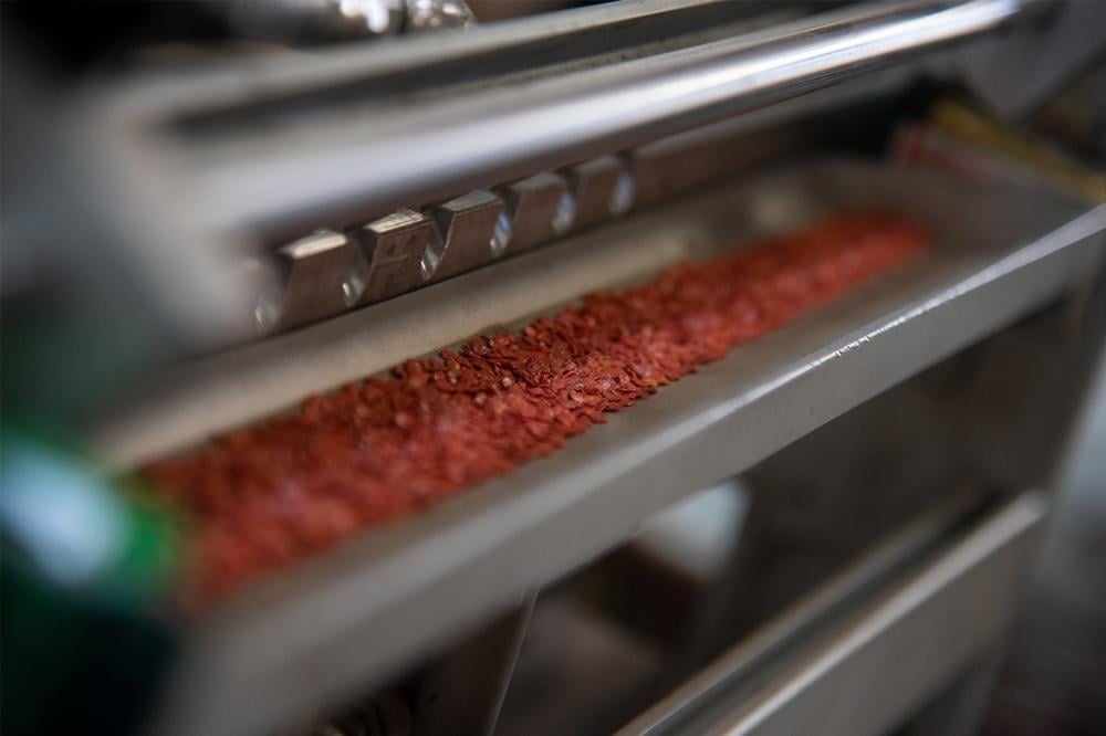 شراء-شتلات-الخضار-ونقلها-وزراعتها-في-السعودية