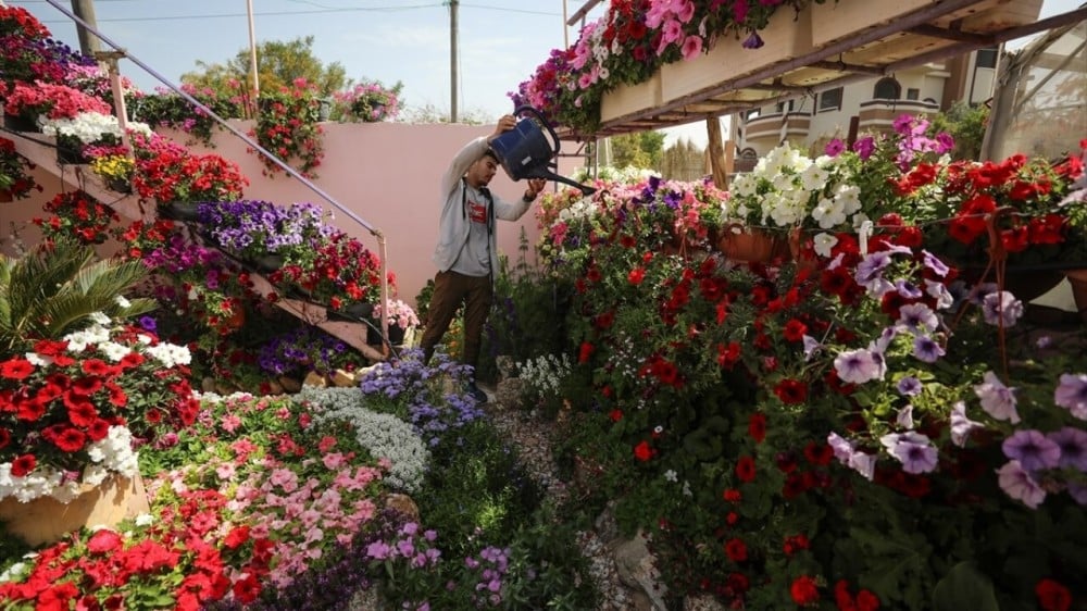 تأثير مشاتل الخضار على تحسين إنتاجية المزارع وجودة المحصول