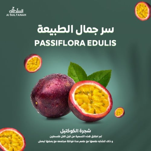 شتلات الباشن فروت ‏ Passiflora edulis