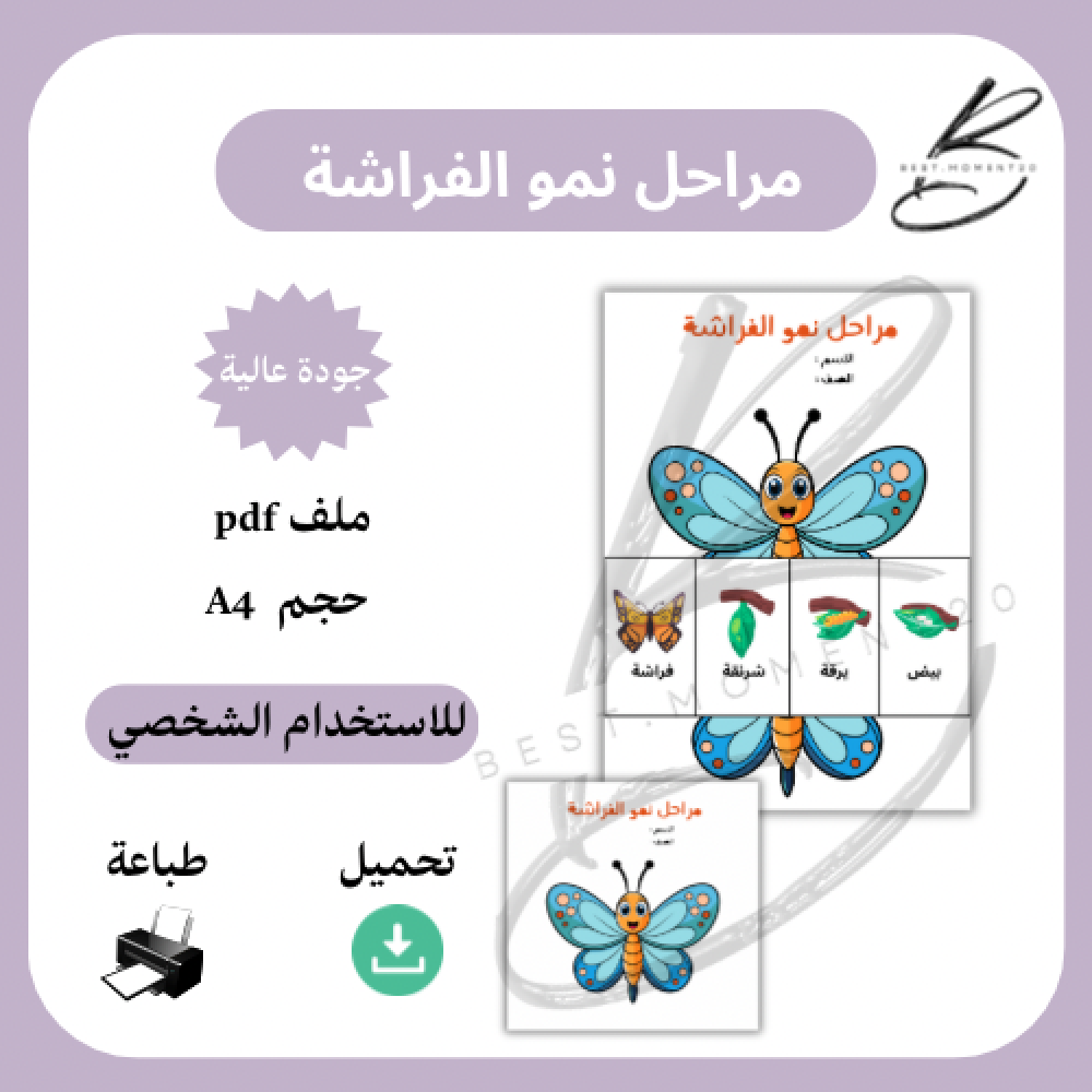 مراحل نمو الفراشة