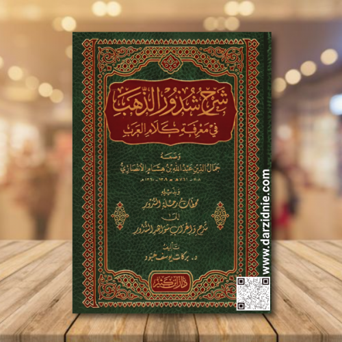 ‎شرح شذور الذهب في معرفة كلام العرب‎