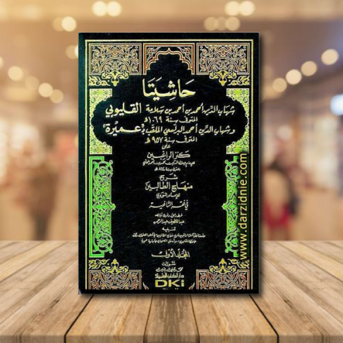 حاشيتا قليوبي وعميرة على شرح المحلي 2/1