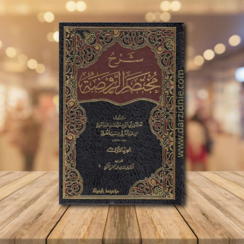 شرح مختصر الروضة 1/3