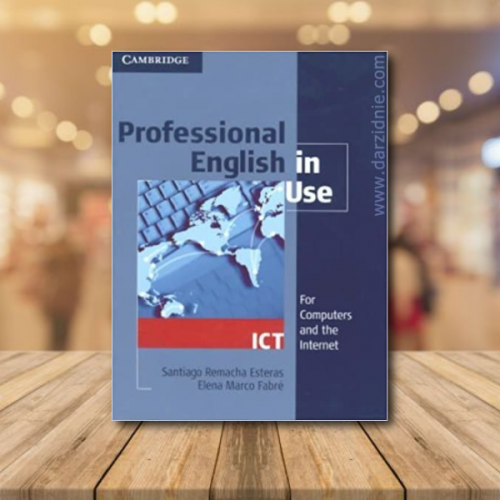professional English in use