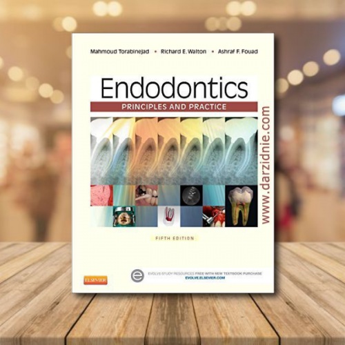 y8fYAQV3cPvzVGFQEKRMMfo1gacXW8