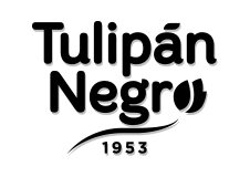 Tulipan negro