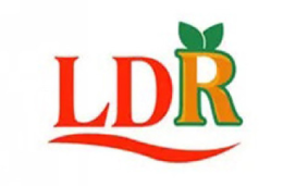 LDR