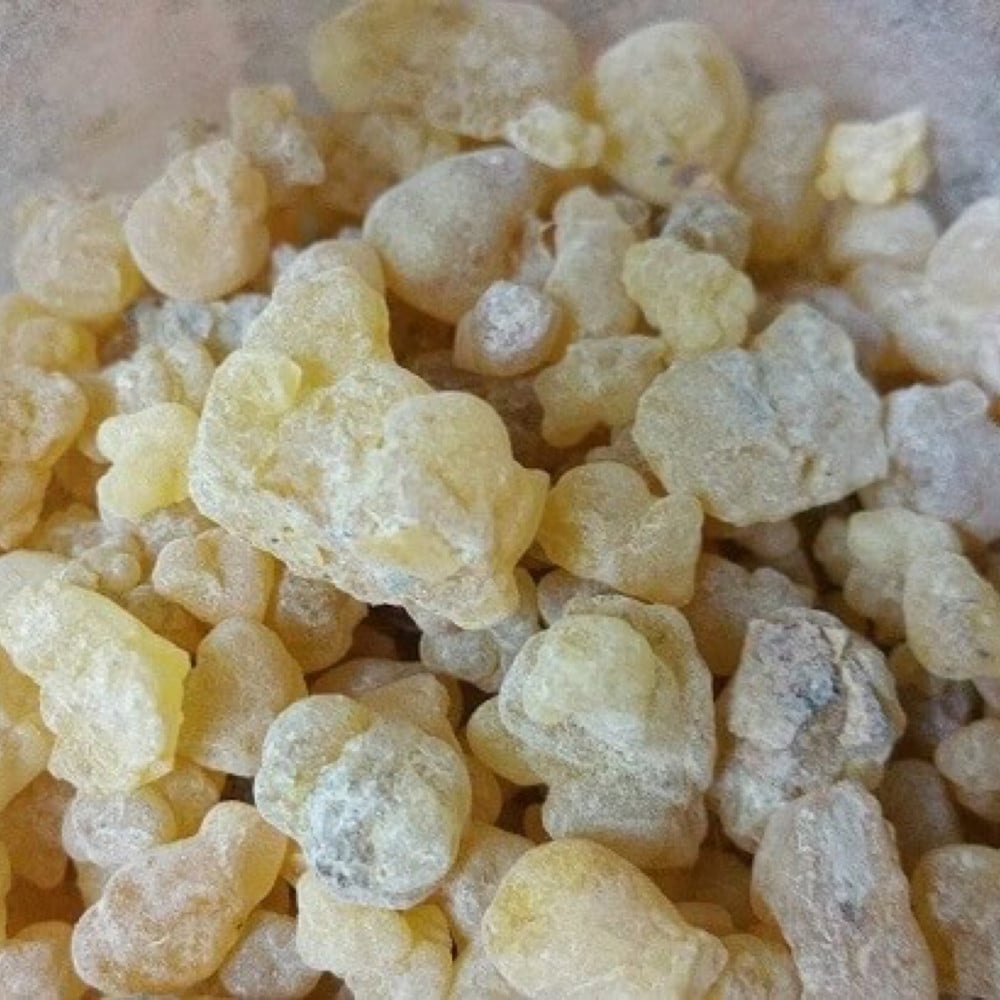 زيت البان الذكر الطبيعي - متجر زيوت البادية