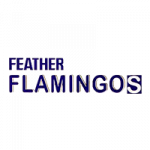 فيذر فلامنجو Feather-Flamingo