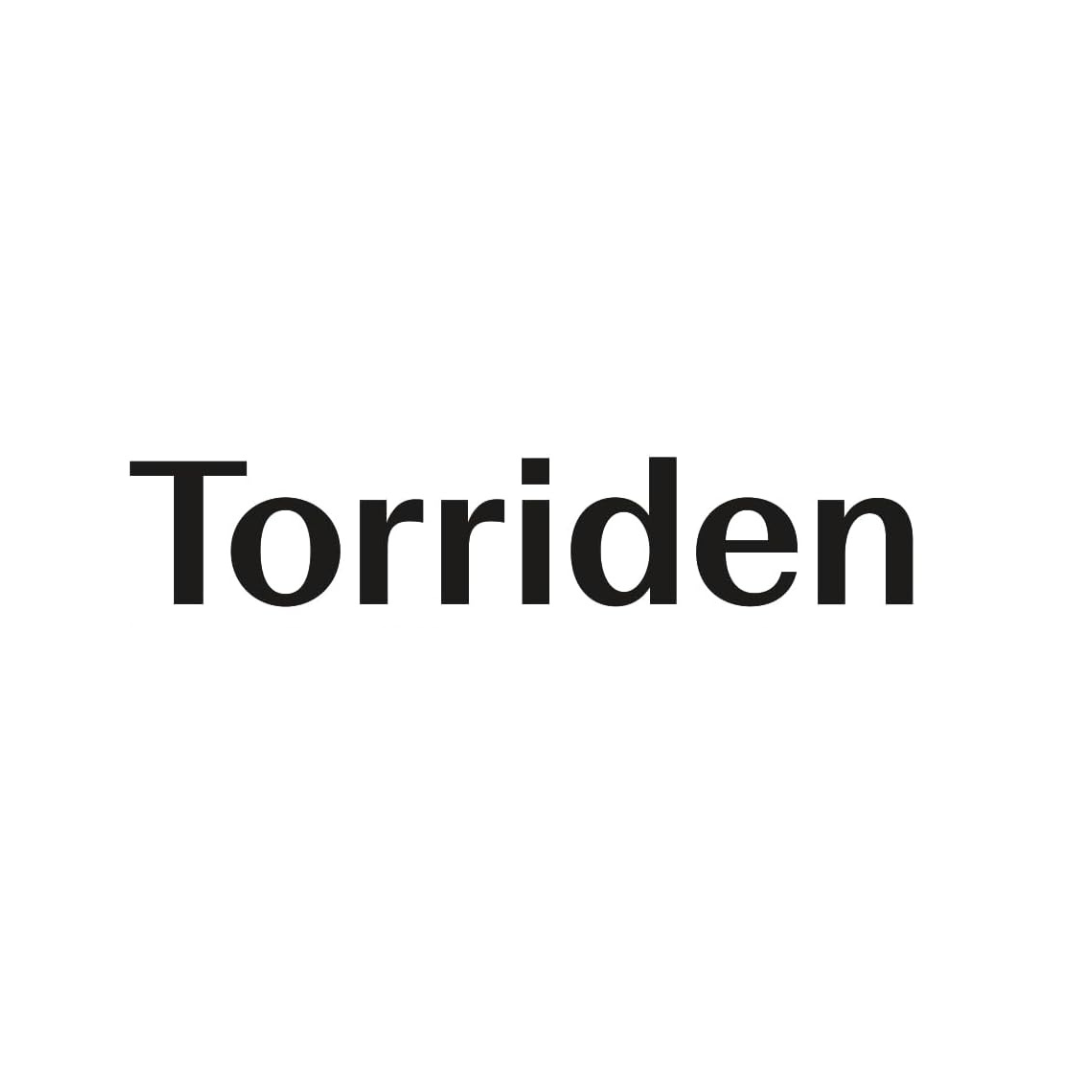 توريدين - Torriden