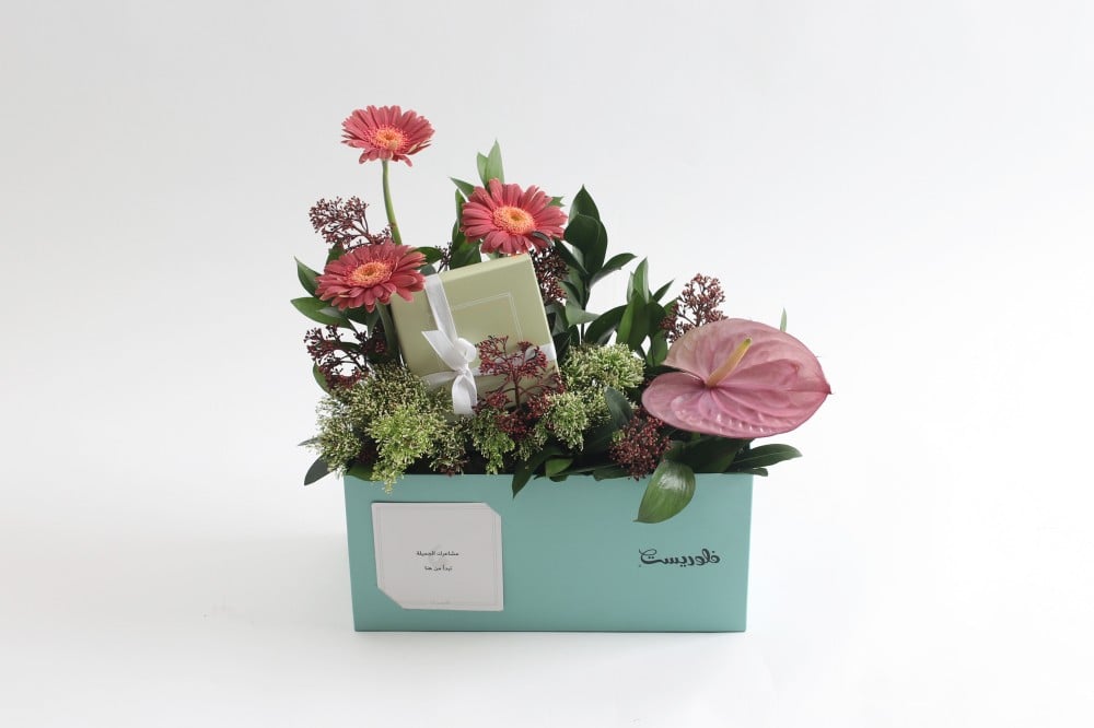 بوكس ورد فاصلة استقبلت البهجة