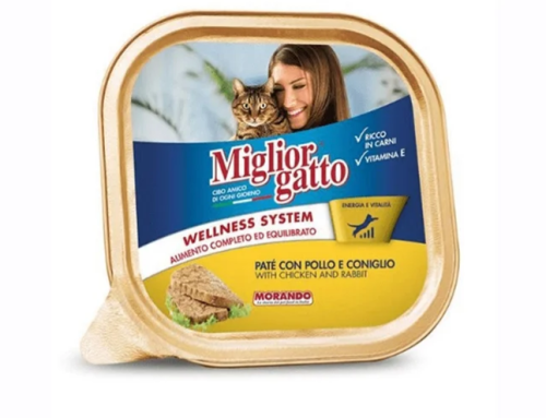 ميجلور جاتو صحن طعام رطب للقطط بالدجاج والارانب 100 جرام