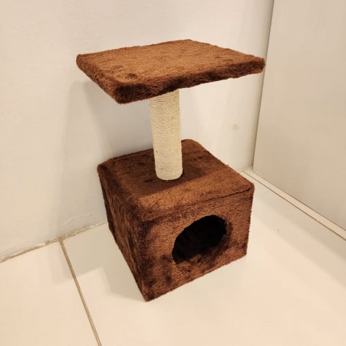 خداشة قطط حجم صغير - بني