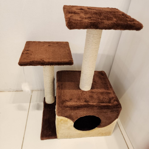 خداشة قطط حجم كبير - بني