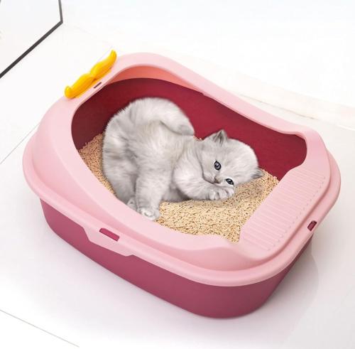 ليتر بوكس للقطط وسط ملون