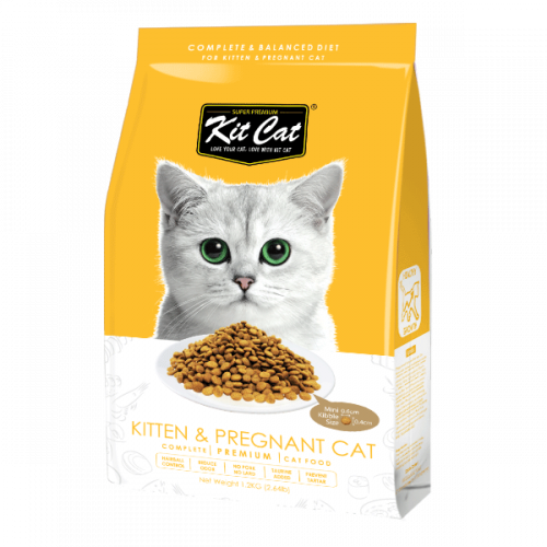 كت كات طعام جاف للقطط الصغيرة والحوامل 1.2 كيلو