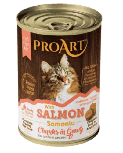 برو ارت طعام رطب للقطط بقطع السالمون 400g