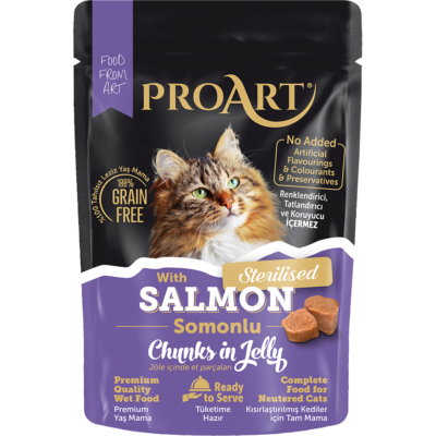 برو ارت طعام رطب بالسالمون بالجلي 85g