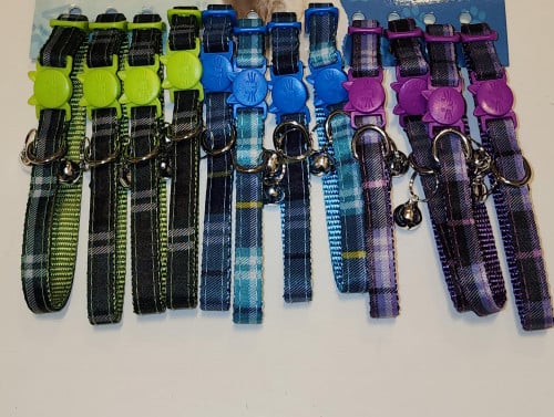 طوق قطط ملون