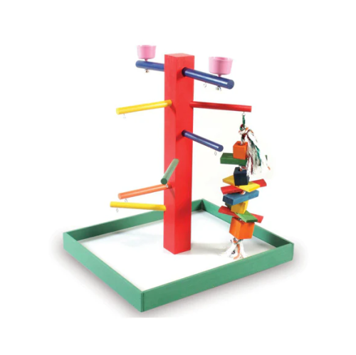 بريفو ملعب الببغاء كوبان للماء أو المكافئات لعبة خشبية ملونة