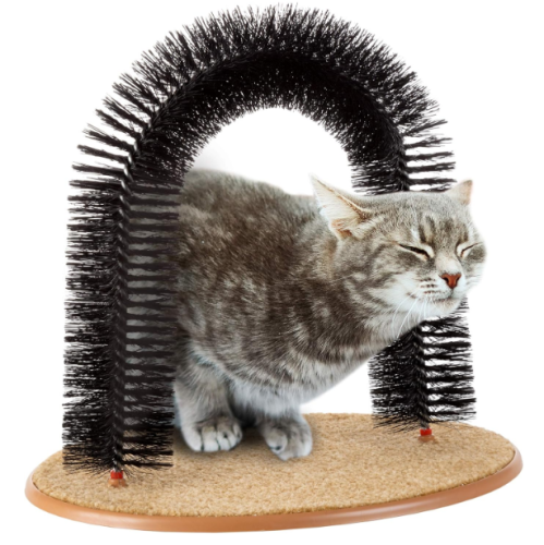 قوس القطط خداشة