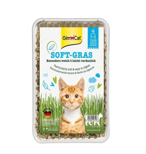 جيم كات عشب طبيعي ناعم للقطط سوفت قراس 100g