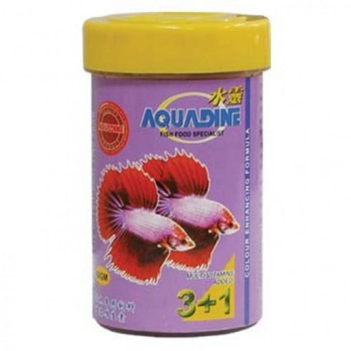 َِطعام لسمك الفايتر  Aquaine 60g