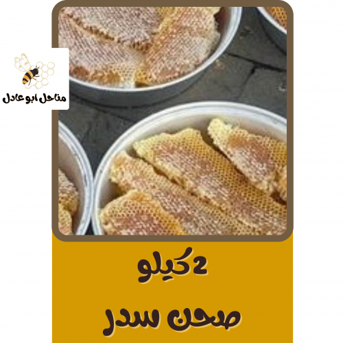 2 كيلو صحن سدر