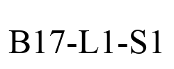 B17-L1-S1