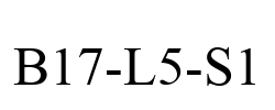 B17-L5-S1